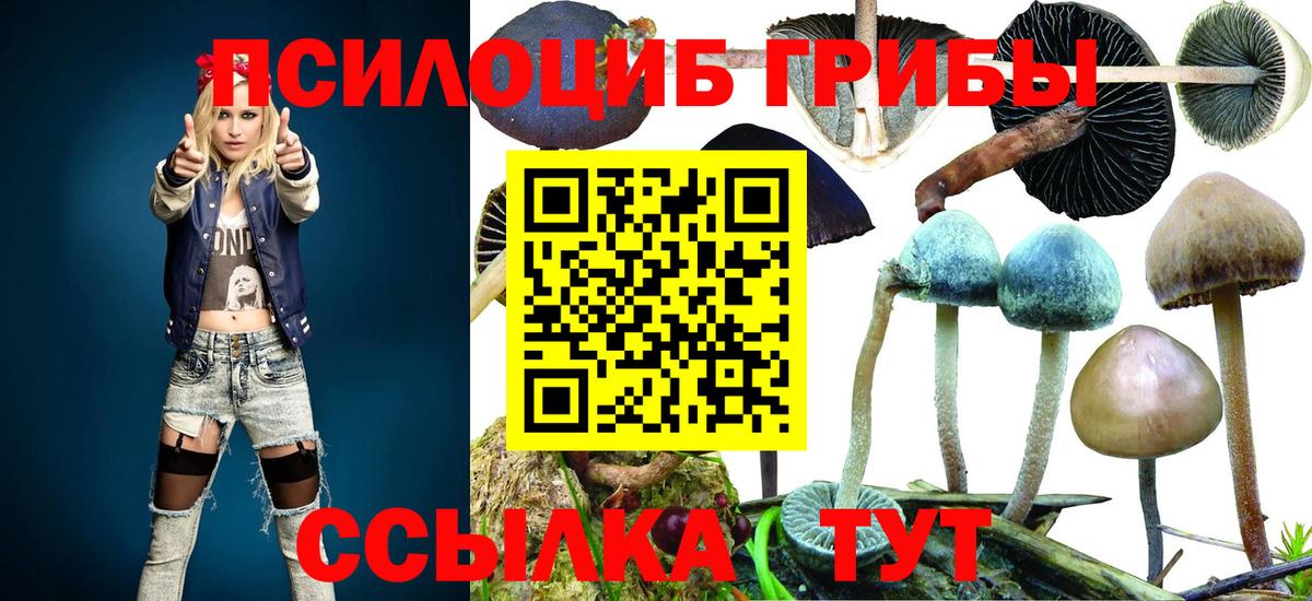Псилоцибиновые грибы MAGIC MUSHROOMS Снежинск