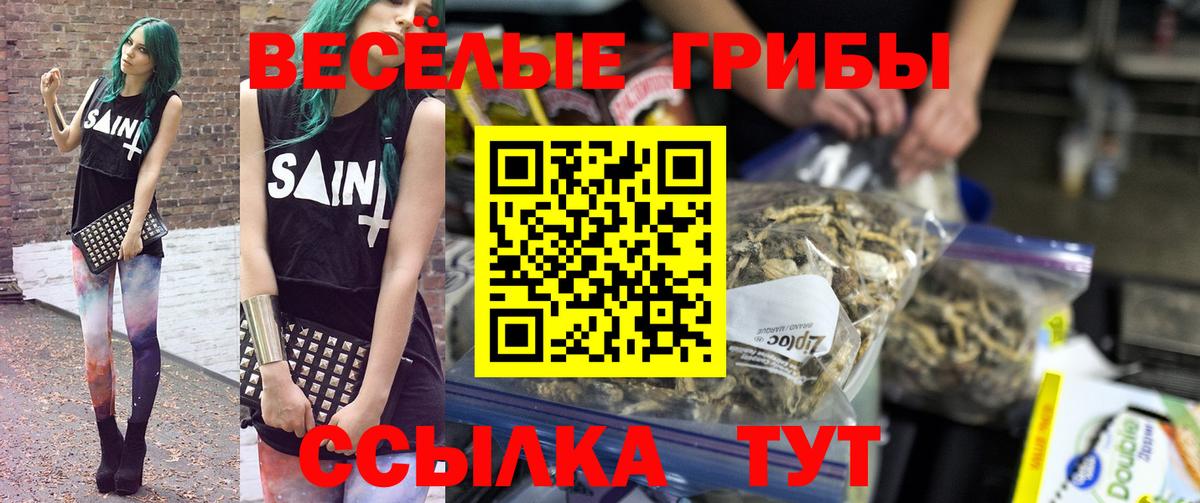 Галлюциногенные грибы Psilocybe  цены   Снежинск  Вход с VPN 